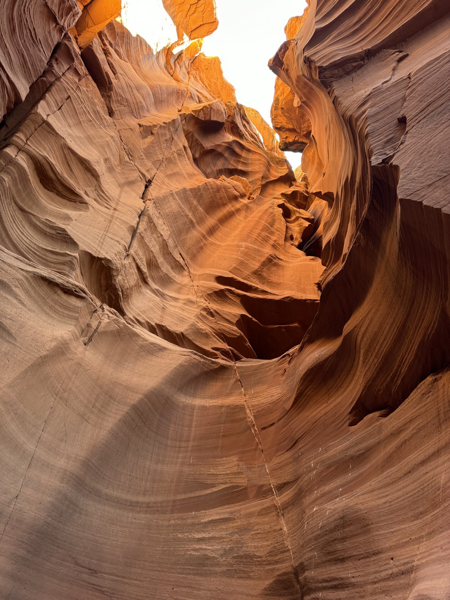 Colorful sandstone canyons