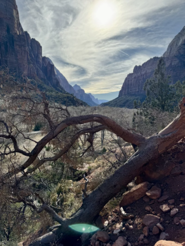 Kayenta Trail in Zion