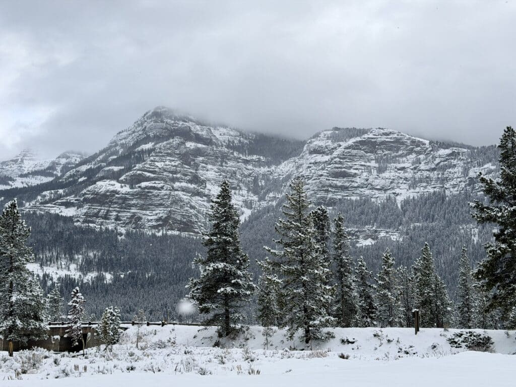 Winter wonderland in Yellowstone
